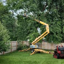 Best Commercial Tree Services  in Chappaqua, NY