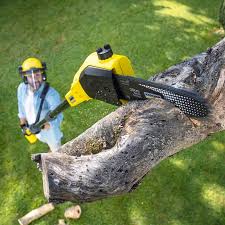 Best Pest Control for Lawns  in Chappaqua, NY